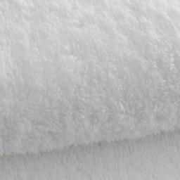 Revive DNA Transformation Program