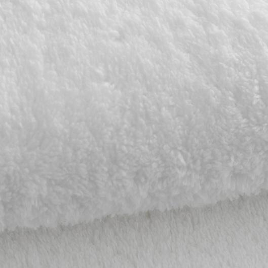 Revive DNA Transformation Program